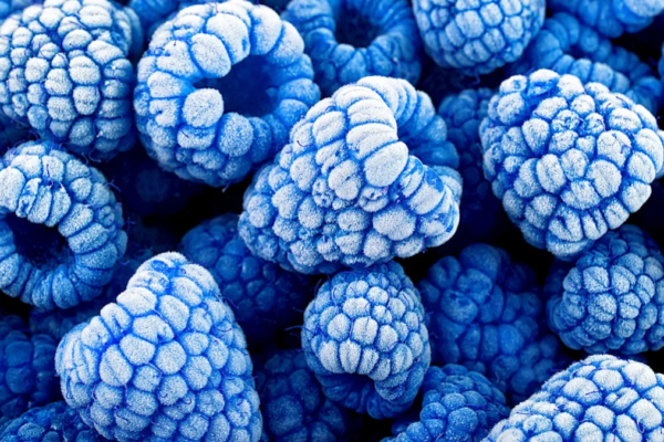 is blue raspberry a real fruit