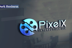 pixelspinx com